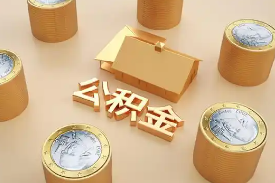 阿拉善盟退休公积金代办提取额度是多少？